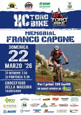 Crocefisso Della Macchia